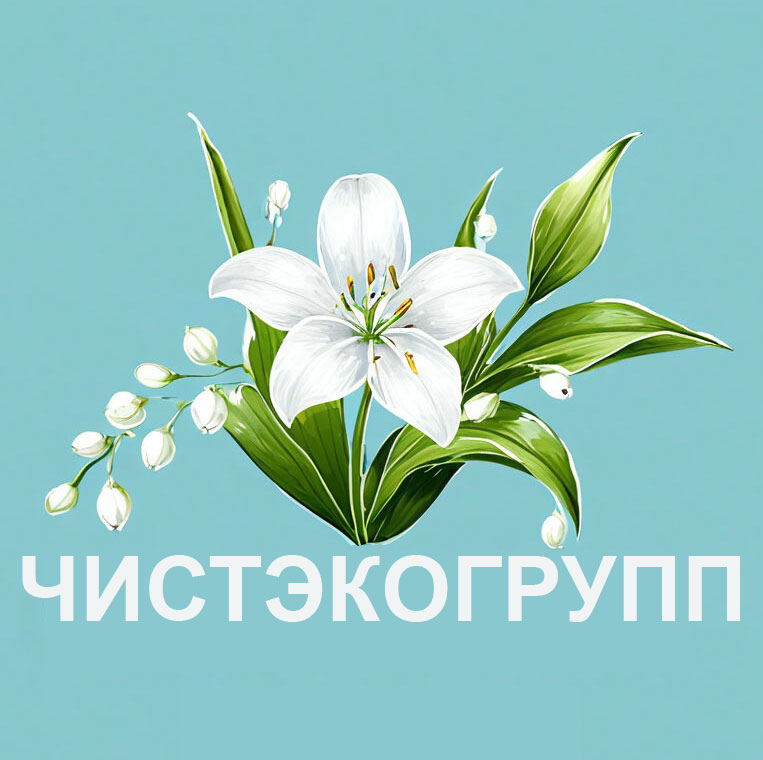 ЧистЭко Групп